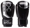 Sting 16 Oz. Armaplus Boxing Glove(Black/Silver) - Vintage Boxing Gear